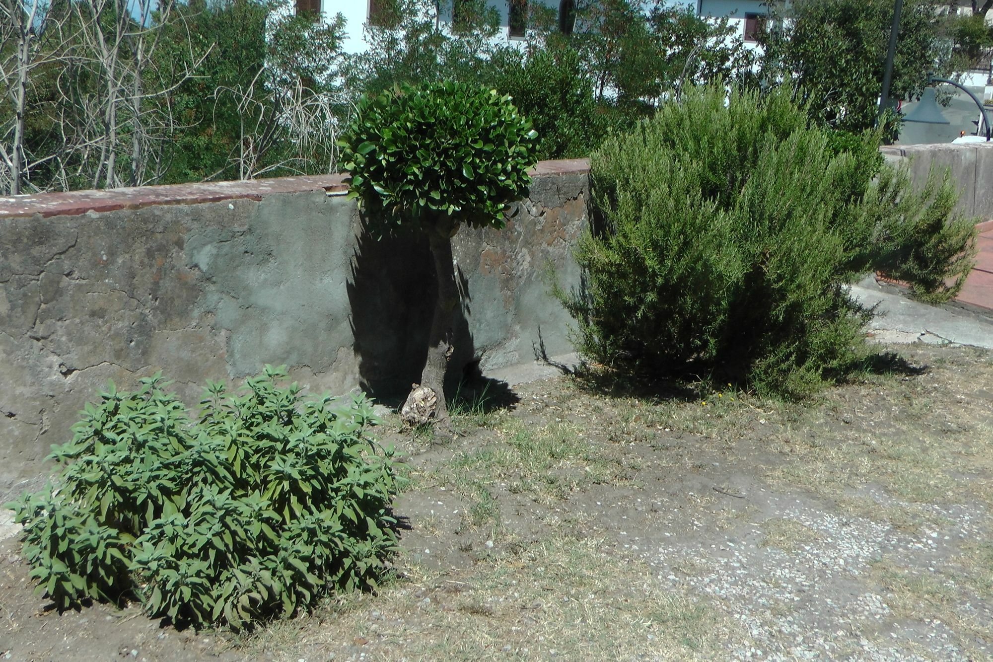 Ferienhaus Villa Della Querceta Livorno Exterior photo